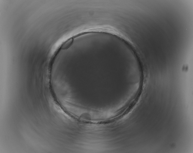X0000110701506200907101208