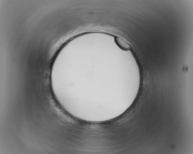 X0000110701507200907101208