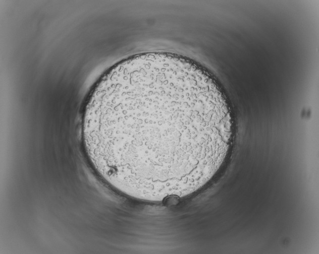 X0000110701509200907101208