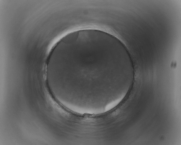 X0000110701510200907101208