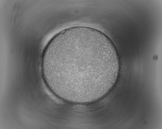X0000110701511200907101208