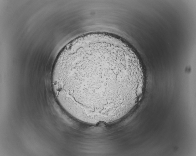 X0000110701513200907101208