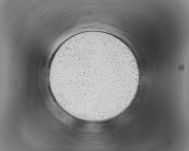 X0000110701514200907101208