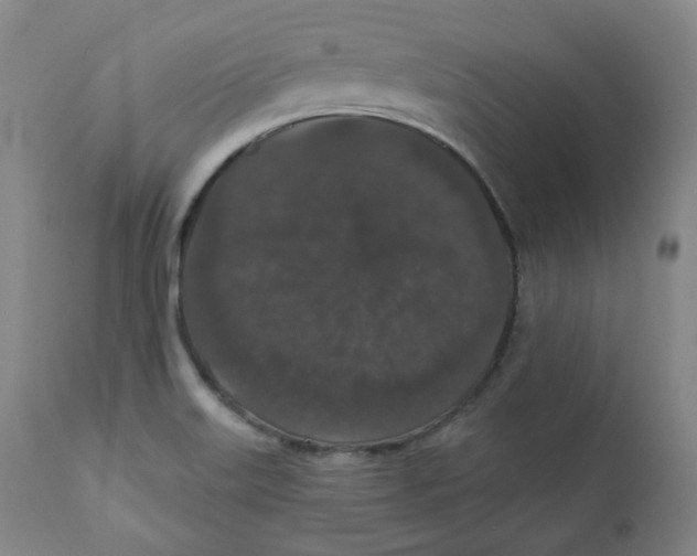 X0000110701515200907101208