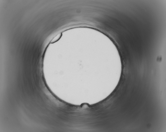 X0000110701516200907101208