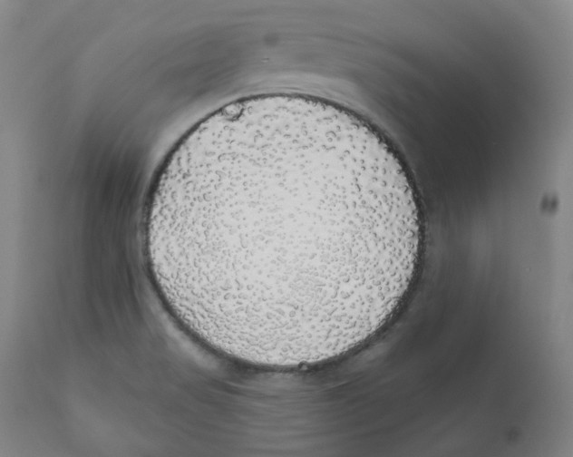 X0000110701517200907101208