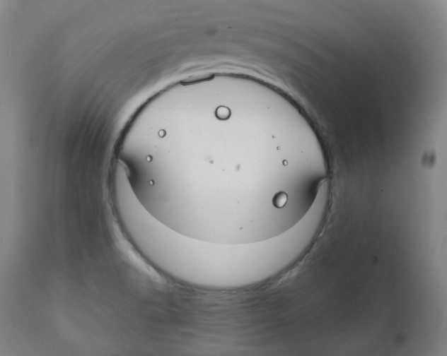 X0000110701518200907101208