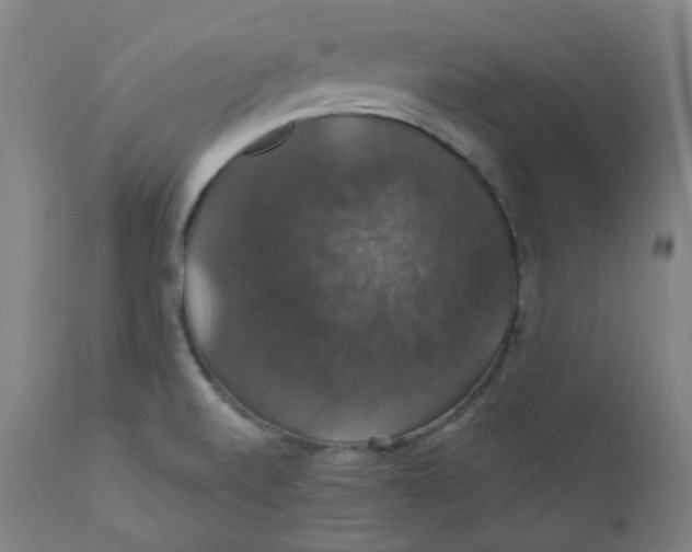 X0000110701520200907101208