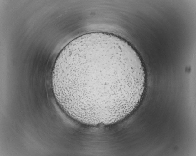 X0000110701521200907101208