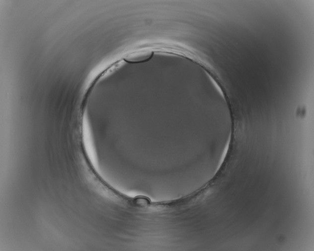 X0000110701522200907101209