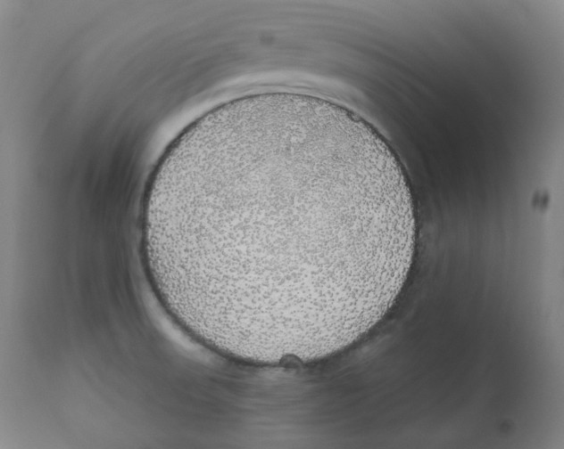 X0000110701523200907101209
