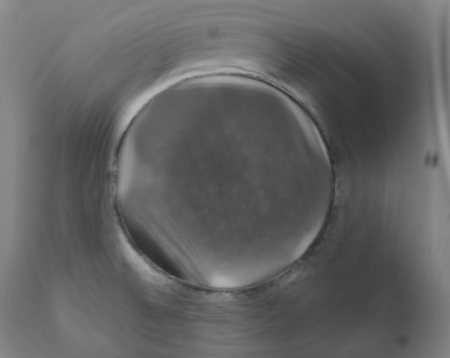 X0000110701524200907101209