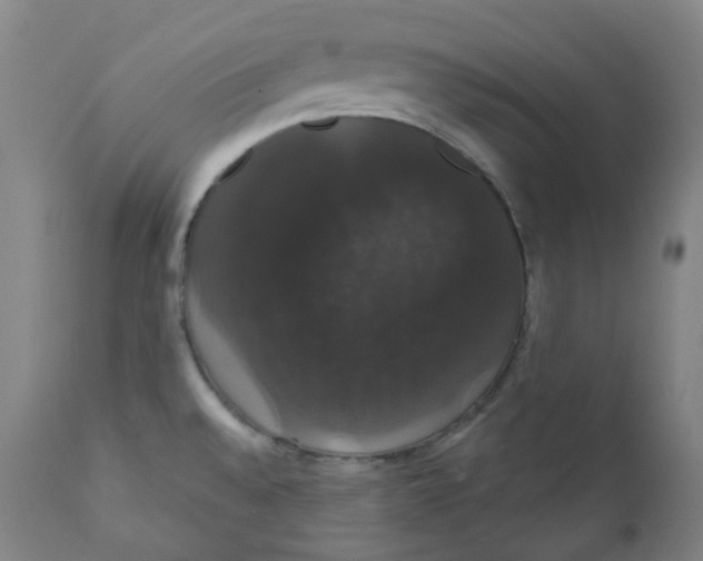 X0000110701528200907101209