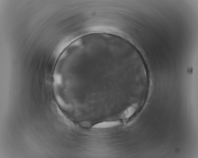 X0000110701529200907101209
