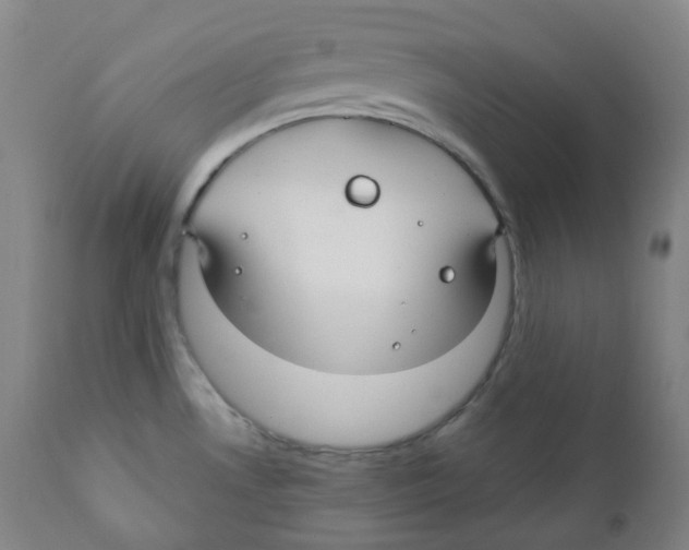 X0000110701530200907101209