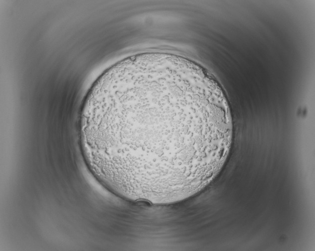 X0000110701531200907101209
