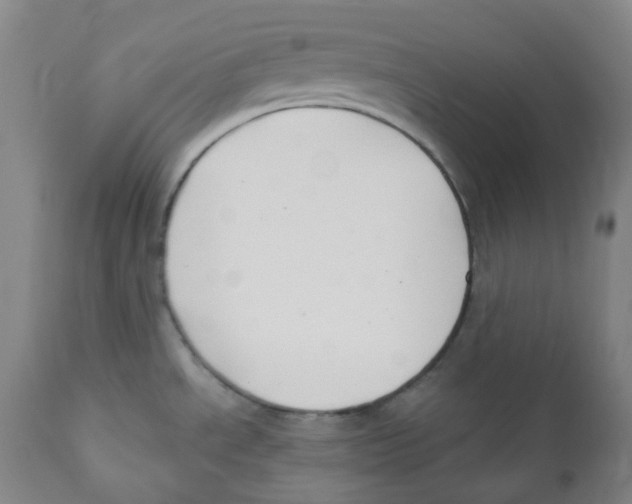 X0000110701534200907101209
