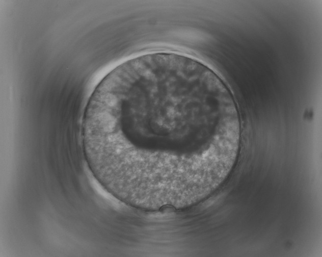 X0000110701535200907101209