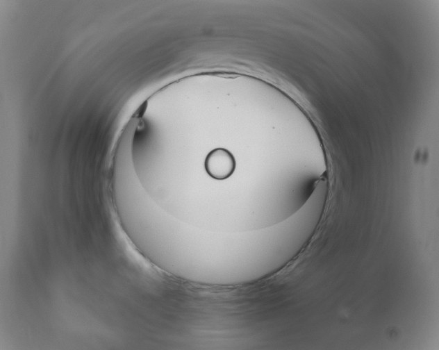 X0000110701536200907101209