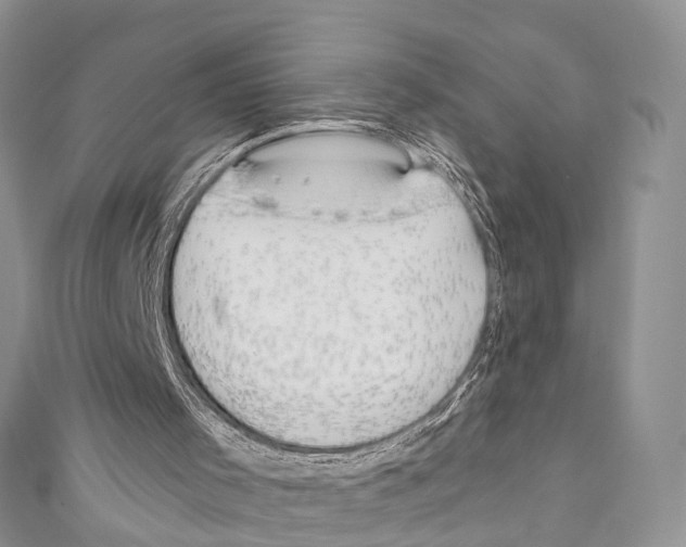X0000110700001200907241134