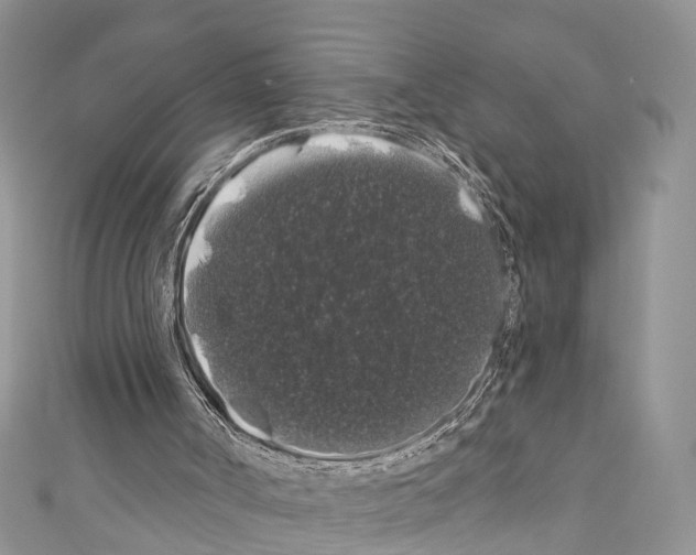 X0000110700002200907241134
