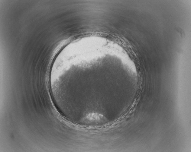 X0000110700003200907241134