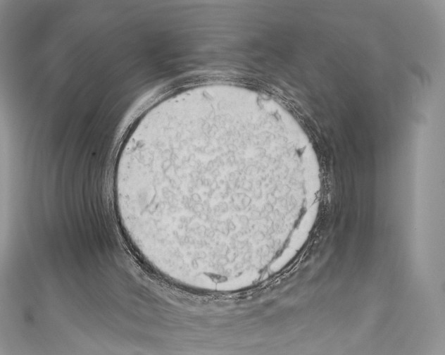 X0000110700004200907241134