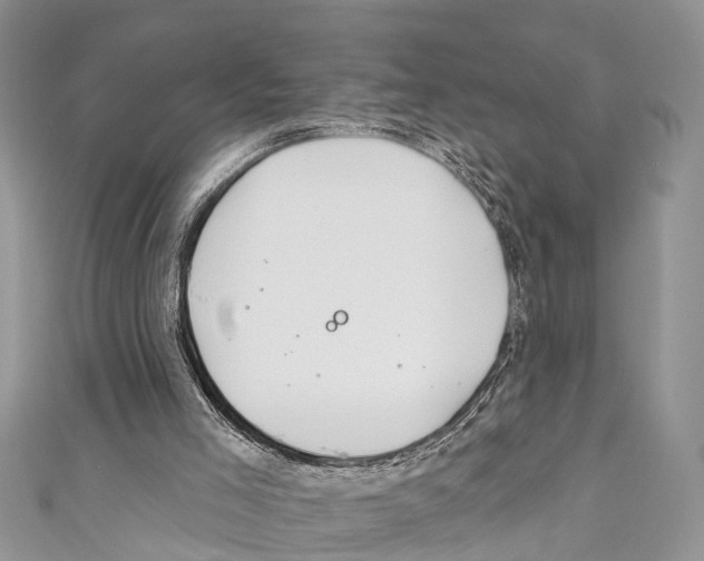 X0000110700005200907241134
