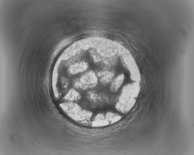 X0000110700006200907241134