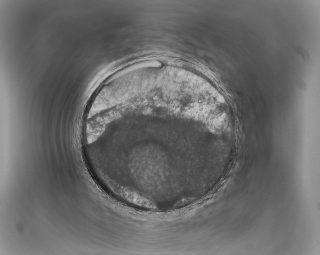 X0000110700007200907241134