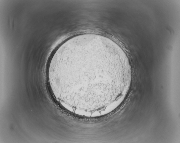 X0000110700008200907241134