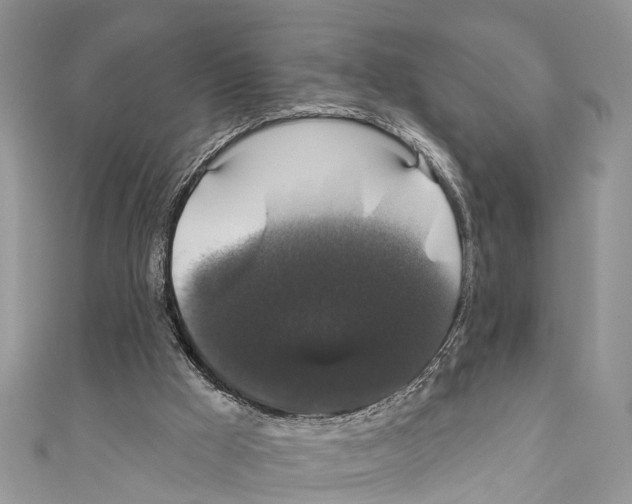 X0000110700009200907241134