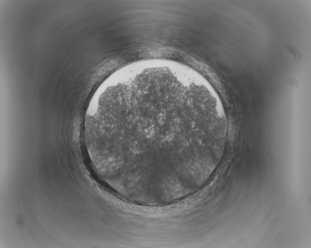 X0000110700010200907241134