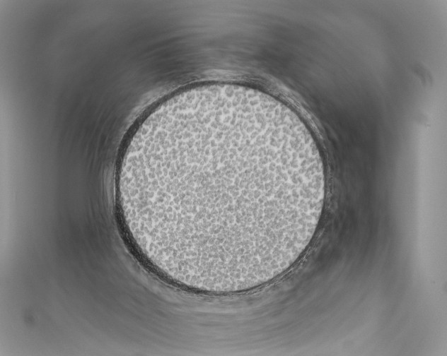 X0000110700011200907241134
