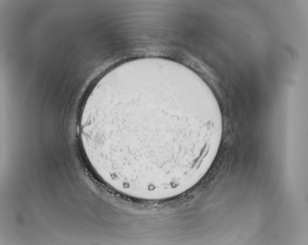 X0000110700012200907241134