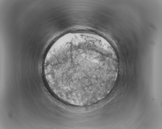 X0000110700015200907241134
