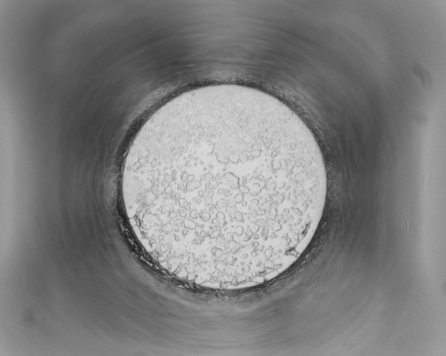 X0000110700016200907241134