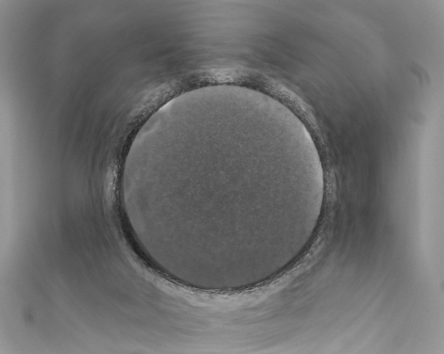X0000110700018200907241134