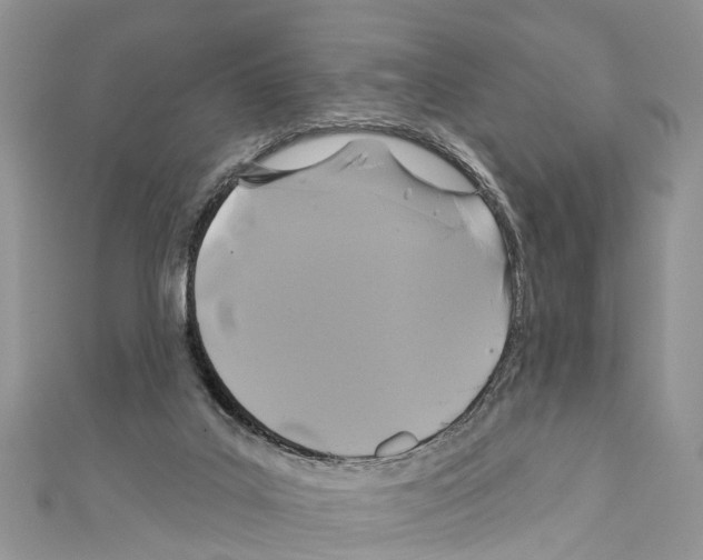 X0000110700019200907241134