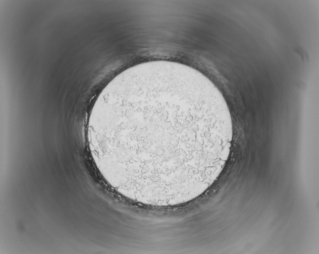 X0000110700020200907241134