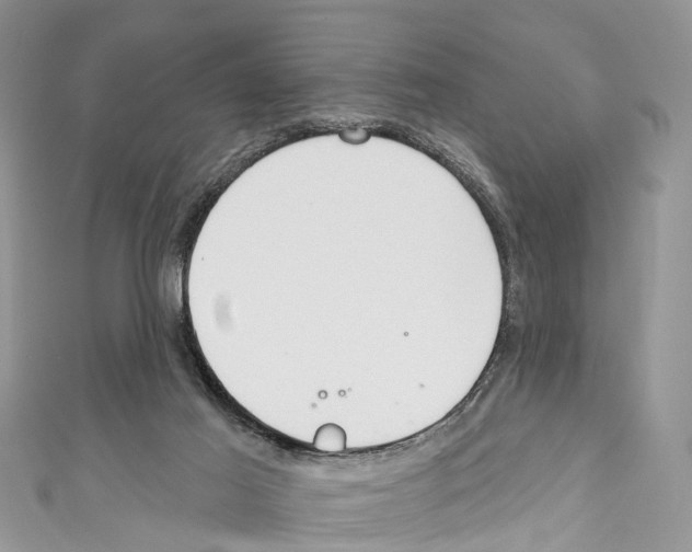 X0000110700021200907241134