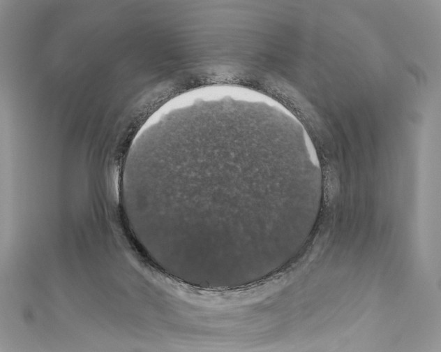X0000110700022200907241134
