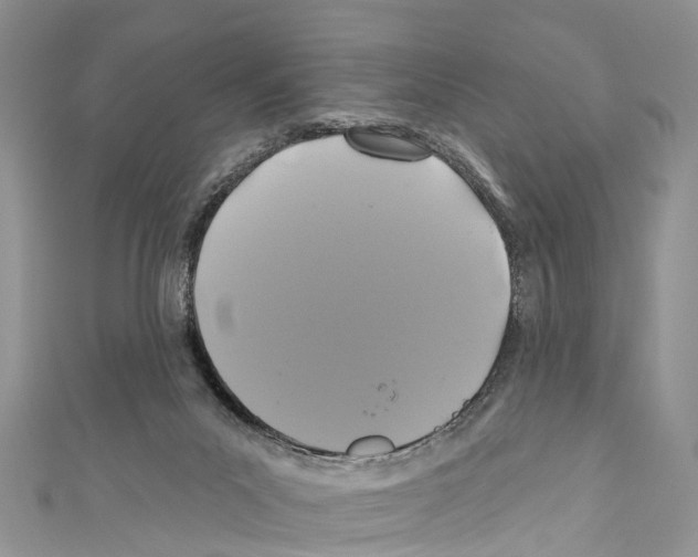 X0000110700023200907241134