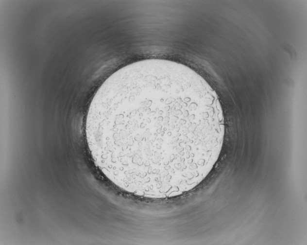 X0000110700024200907241134