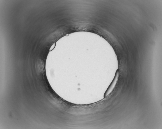 X0000110700025200907241134