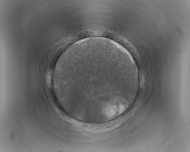 X0000110700026200907241134