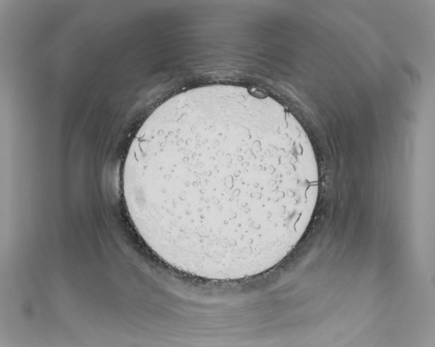 X0000110700028200907241134