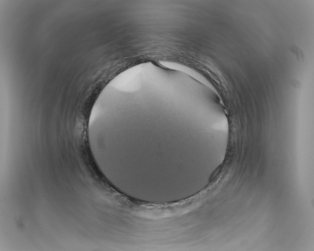 X0000110700029200907241134
