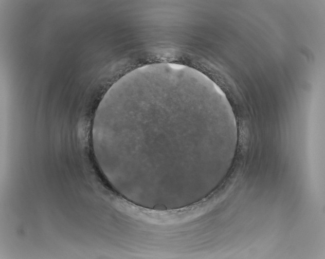 X0000110700030200907241134