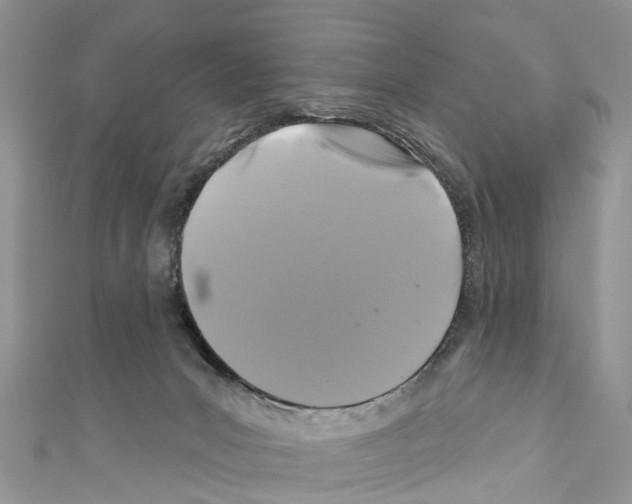 X0000110700031200907241134